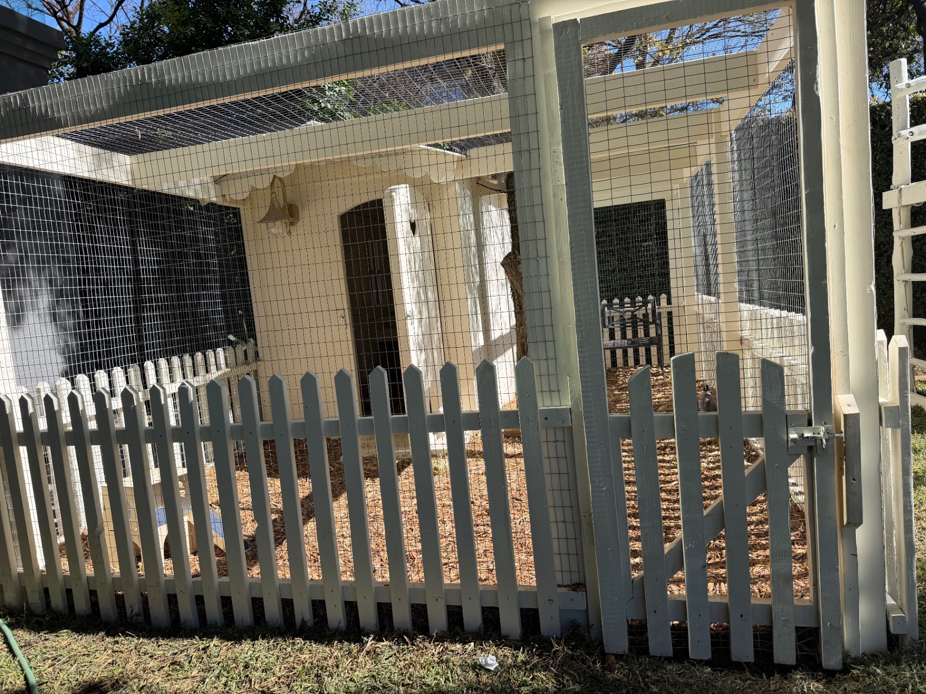 The bunny farm — picket fence, hutch and outdoor run